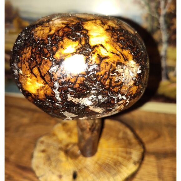 Handcrafted Mushroom/Tree Art Made from Small Live Oak Burl - Unique and Rustic - Picture 9 of 11